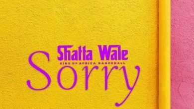 Shatta Wale – Sorry