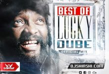 DJ Shinski - Best Of Lucky Dube (Reggae Mix)
