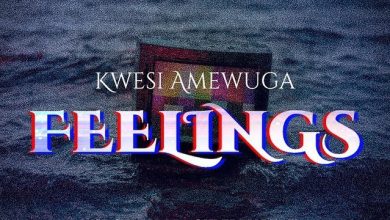 Kwesi Amewuga - Feelings (New Song 2022)