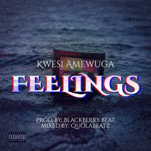 Kwesi Amewuga - Feelings (New Song 2022)