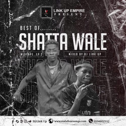 DJ Linkup - Best of Shatta Wale Mixtape 2022