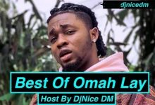 DJ Nice DM - Best Of Omah Lay Mix (Afrobeats DJ Mixtape 2022)