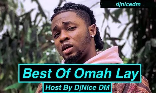 DJ Nice DM - Best Of Omah Lay Mix (Afrobeats DJ Mixtape 2022)