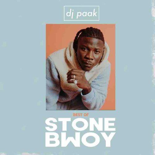 DJ Paak - Best Of Stonebwoy Mixtape 2022