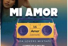 DJ Vybez - Mi Amor 2022 Mixtape