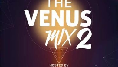 DJ Wallpaper - The Venus Mix (Vol.2)