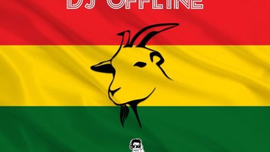 DJ Offline "Ghana Goat Mix" (Hip Life Mixtape 2022)