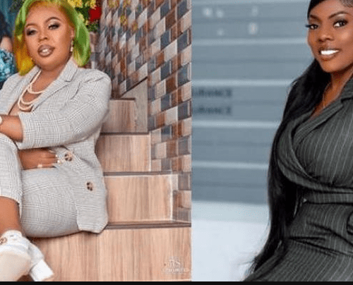 You Can Boast Of Nothing Except English – Afia Schwar Drags Nana Aba Anamoah