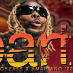 Best Of Naija Afrobeats & Amapiano Party 2022 Mix by DJ Boat