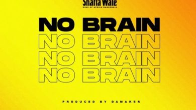 Shatta Wale No Brain Mp3 Download