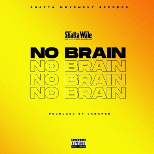 Shatta Wale No Brain Mp3 Download