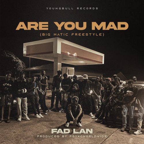 Fad Lan Are You Mad (Big Matic Freestyle)