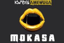 Kwesi Amewuga Mokasa