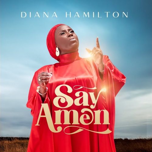 Diana Hamilton Say Amen