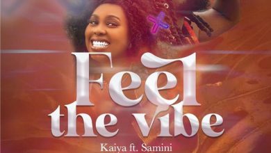 Kaiya Feel The Vibe ft. Samini