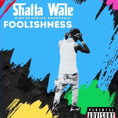 Shatta Wale Foolishness