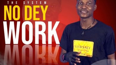 Don Dee THE SYSTEM NO DEY WORK
