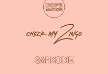 DopeNation Check My Zingo (Remix) ft. Sarkodie