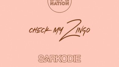 DopeNation Check My Zingo (Remix) ft. Sarkodie