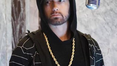 Best Of Eminem Dj Mix