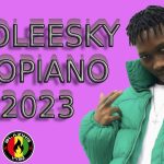 Best Of Zinoleesky Mix 2023