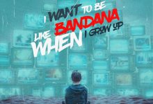 Shatta Wale I Want To Be Like Bandana