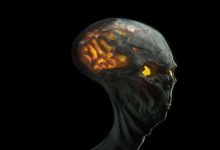 10Tik Alien Brain 4