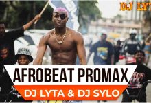 DJ Lyta Afrobeat Pro Max 2023 Mixtape