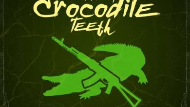 Skillibeng Crocodile Teeth