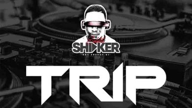 Selekta Shaker Trip (DJ Mixtape)