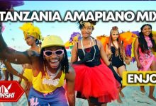 DJ Shinski Best of Tanzania Amapiano Mix 2023