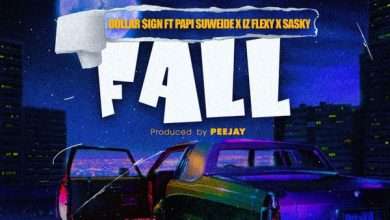 Dollar Sign Fall ft. Papi Suweide, Iz flexy & Sasky