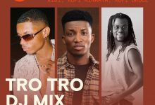 Download The TRO TRO DJ Mix On Mdundo