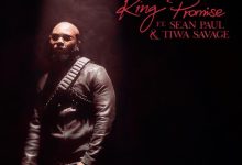 King Promise Terminator (Remix) ft. Sean Paul & Tiwa Savage