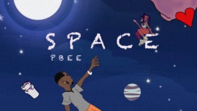 PBee Space