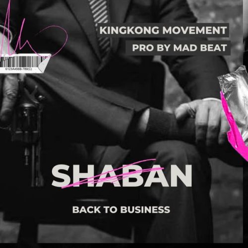 Ahmed Shaban Back to Business Mp3 Download