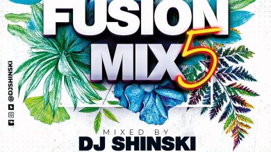 DJ Shinski Fusion Mix Vol. 5 Pop Moombahton, Reggaeton, Dancehall
