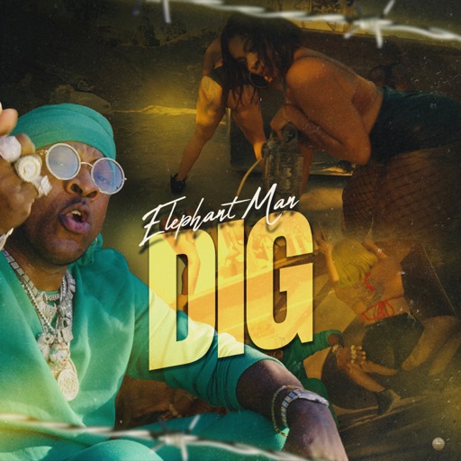 Elephant – Man Dig (New Song 2024)