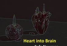 Safo Newman - Heart into Brain