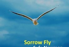 Safo Newman Sorrow Fly