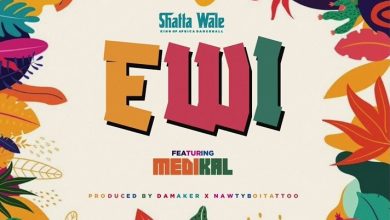 Shatta Wale Ewi (Thief) ft. Medikal
