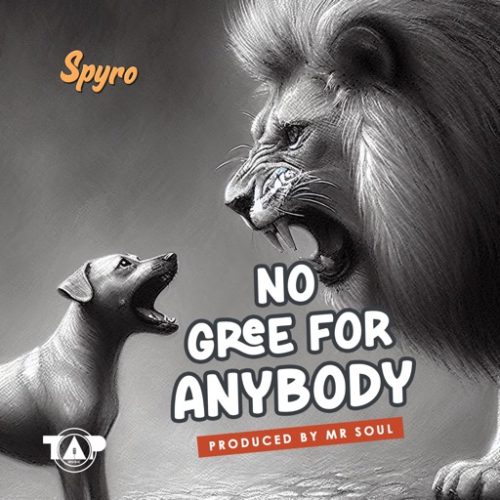 Spyro No Gree For Anybody (NGFA)