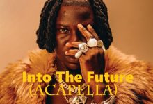 Stonebwoy Into The Future (Acapella)