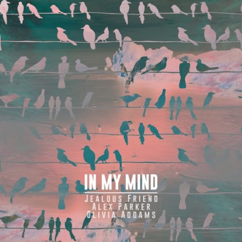 Jealous Friend ft. Alex Parker & Olivia Addams - In My Mind