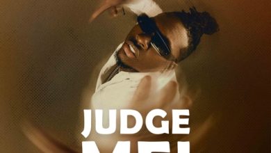 Article Wan – Judge Me