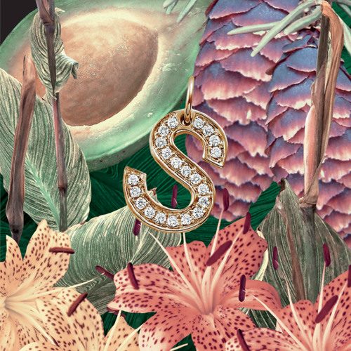 SZA - S EP Artwork