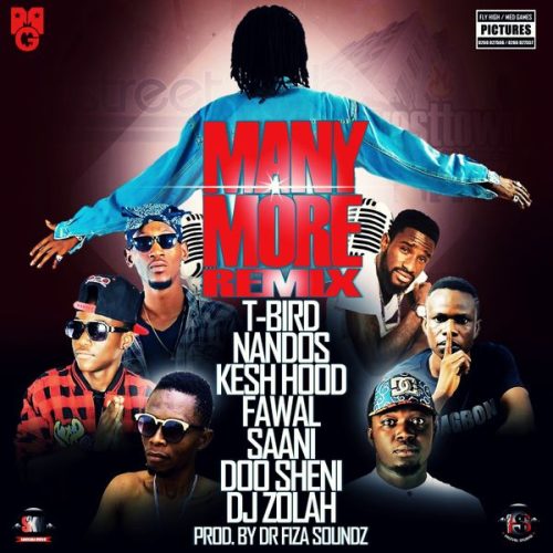 T-Bird - Many More Remix ft. Nandos, Kesh Hood, Fawal, Dagbon Saani, Doo Shani & DJ Zolah