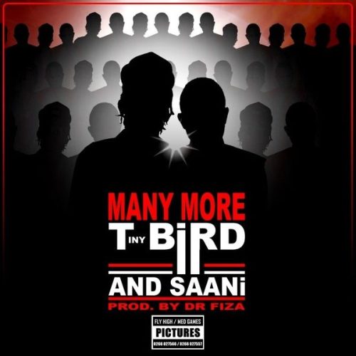T-Bird - Many More ft. Saani