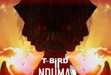 T-Bird - Nduma ft. Tom Acid Brain & Thug Lee