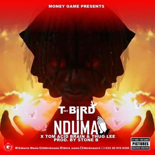 T-Bird - Nduma ft. Tom Acid Brain & Thug Lee